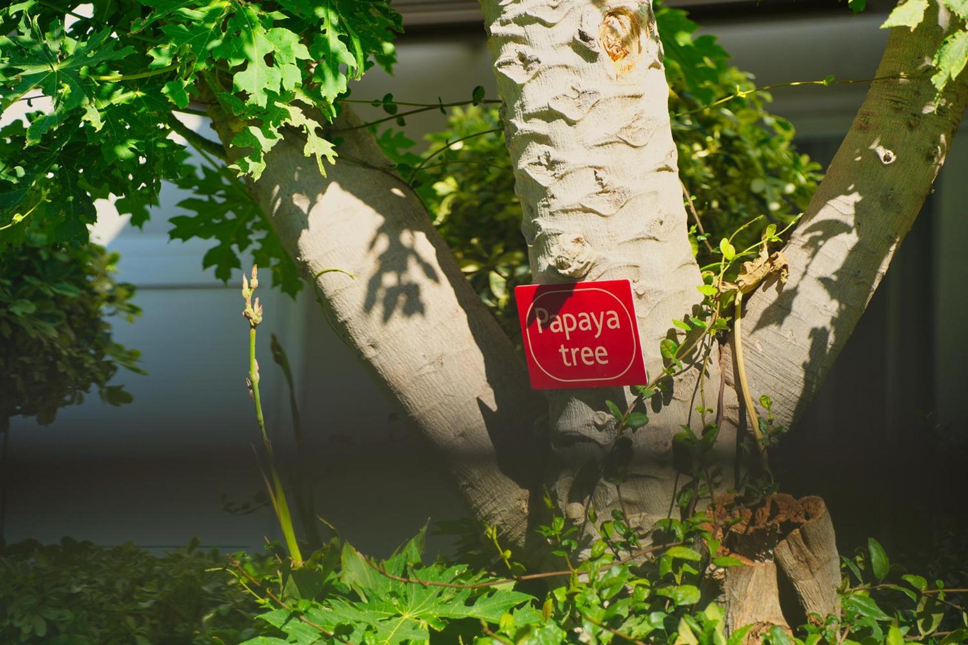 Relax Hotel Palaiochora Ngoại thất bức ảnh